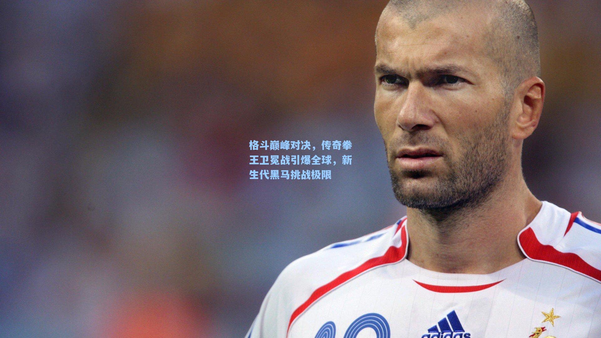 格斗巅峰对决，传奇拳王卫冕战引爆全球，新生代黑马挑战极限