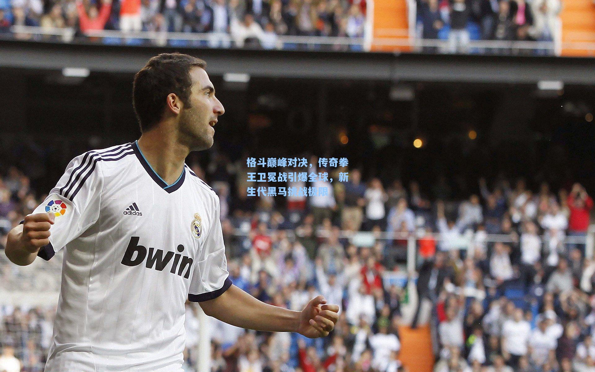 格斗巅峰对决，传奇拳王卫冕战引爆全球，新生代黑马挑战极限